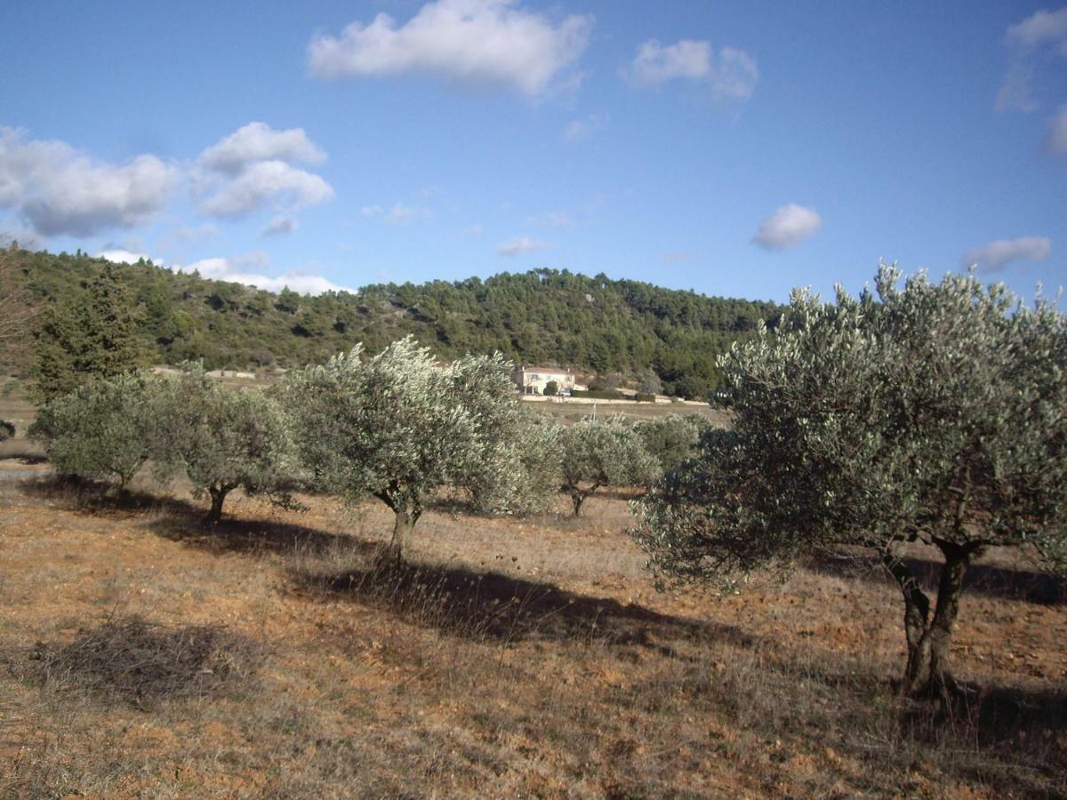 L' Oliveraie De Plerimond Aups Exterior foto